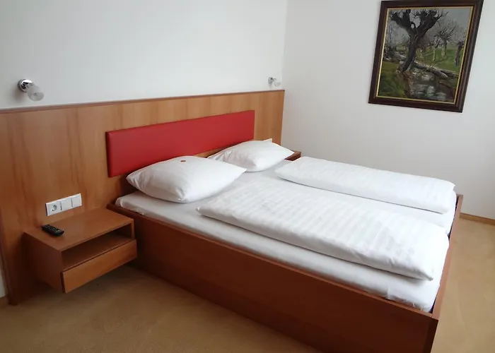 Отель Bischof 4*